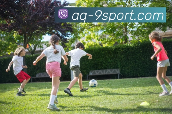 九游体育官网服务体系